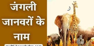 जंगली जानवरों के नाम - Wild Animals Name in Hindi English with Picture