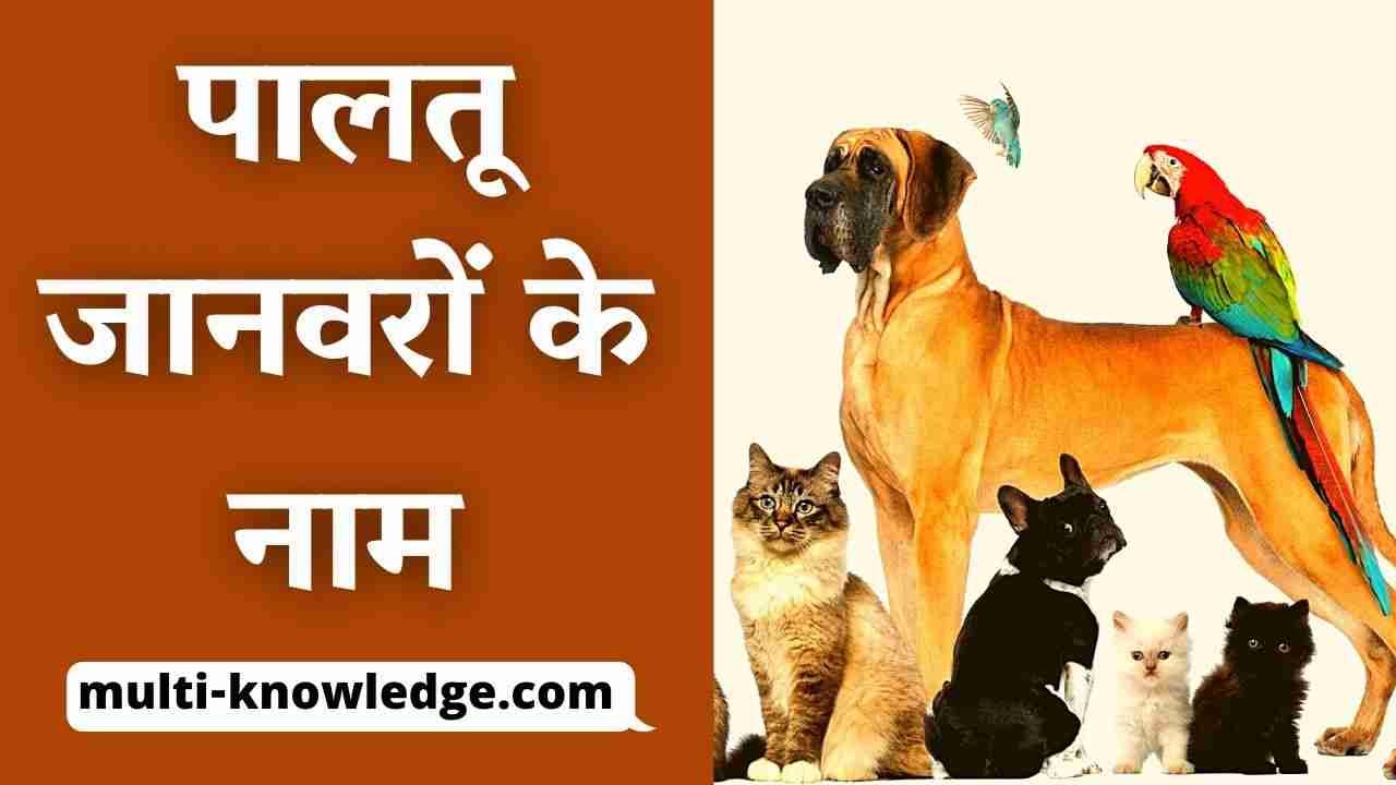 पालतू जानवरों के नाम - Pet Animals Name in Hindi English with Picture
